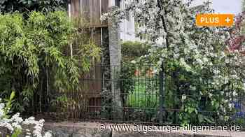 Aichach-Friedberg: Grün statt Grau: Wie sich Einfriedungen naturnah gestalten lassen | Friedberger Allgemeine - Augsburger Allgemeine