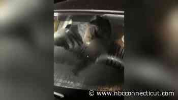 Bear Gets Into Car, Causes Extensive Damage in Cornwall - NBC Connecticut