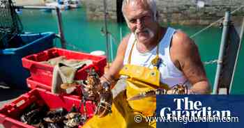 TV tonight: plunge into the rich waters of Devon and Cornwall - The Guardian