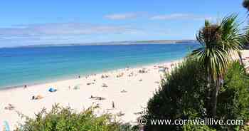 Holidaymakers asking to bring hamsters, guinea pigs and FISH to Cornwall with them - Cornwall Live