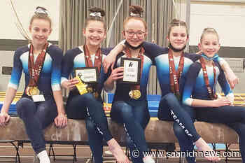 Western Canadian gymnastics gold comes to Greater Victoria athletes – Saanich News - Saanich News
