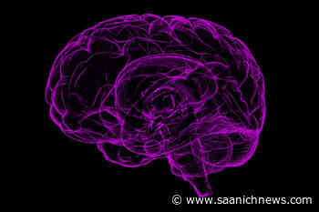 Victoria Brain Injury Society opening educational programming to all – Saanich News - Saanich News