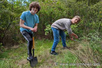 Belmont Secondary School pitching in to keep grounds natural in Langford – Saanich News - Saanich News