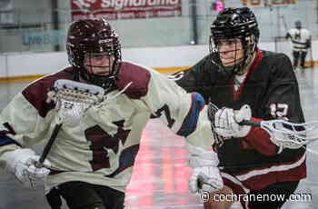 Junior lacrosse teams hit the floor tonight - CochraneNow.com