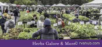 Herbs Galore Sprouts Up at Maymont on Saturday - rvahub.com