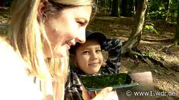 Aus Kiew nach Essen: Zehnjähriger wird erfolgreich wegen Krebs behandelt - WDR Nachrichten