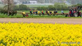Essen: Viele Wolken zum Wochenstart in NRW - STERN.de