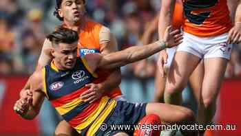 Crows must learn harsh AFL lessons: coach - Western Advocate