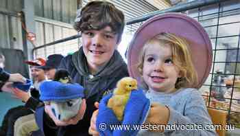 Long-serving Royal Bathurst Show exhibit proves popular with children of all ages - Western Advocate