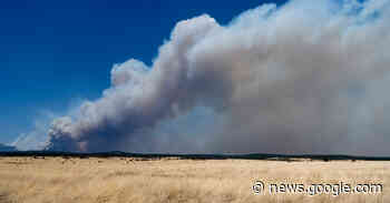 Strong Winds Keep Fueling New Mexico Wildfire - The New York Times
