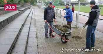 Arbeitseinsatz im Stadion in Trebur - Echo Online