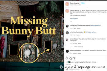 Stolen bunny butt in Langley leads to viral post – Chilliwack Progress - Chilliwack Progress