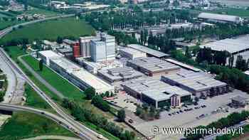 Consorzio Agrario di Parma, fatturato record: 73 milioni (+17%) - ParmaToday