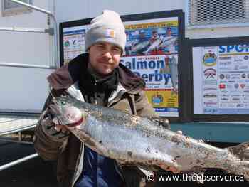 Bluewater Angler's Sarnia-area Salmon Derby has begun - Sarnia Observer