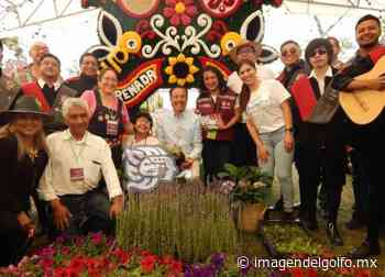 Coatepec y Veracruz, importantes para conservación de orquídeas y cultura: Cuitláhuac - Imagen del Golfo