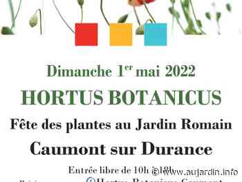 Hortus Botanicus dans le Jardin Romain à CAUMONT SUR DURANCE - 01/05/2022 - Au Jardin