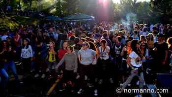 Cose da fare a Messina nel weekend del Primo Maggio: tra gli eventi anche il Bosco in Festa - Normanno.com