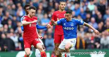 Allan statistics you won't have read as Everton role against Liverpool becomes clear - Liverpool Echo