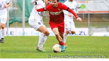 Fußball Regionalliga Südwest - TSG Balingen verlängert gleich mit fünf Spielern - Schwarzwälder Bote