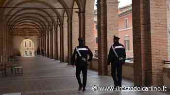 Fabriano, mette in vendita online una pelliccia: donna truffata per mille euro - il Resto del Carlino