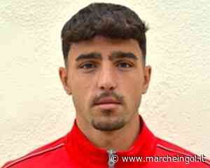 ECCELLENZA. Reti inviolate tra Urbino e Fabriano Cerreto - marcheingol.it