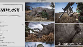 How to Properly Organize Your Photography Website