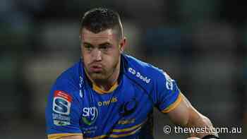 Western Force ‘devastated’ by loss of flanker Fergus Lee-Warner to English premiership club Worcester Warriors - The West Australian