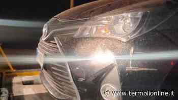 «Per miracolo non ci siamo fatte nulla», ennesimo scontro in auto con un cinghiale - Termoli Online