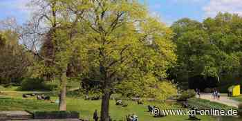 Maiwetter teilt Deutschland: Norden sonnig, Süden nass