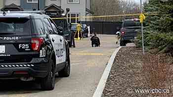 Alberta government exploring independent police oversight options