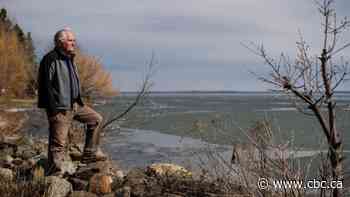 Proposed cattle feedlot threatens popular but fragile Alberta lake, residents say