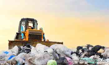 Plastic waste could be a thing of the past thanks to new PET-eating enzyme