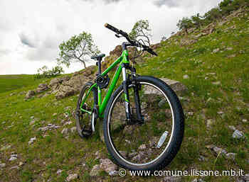 XXIV Trofeo Bosco Urbano Città di Lissone 2022 - Comune di Lissone