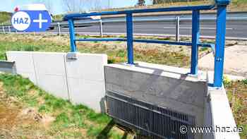 Hemmingen: Kröten wandern nicht durch Tunnel unter der B-3-Umgehung - HAZ
