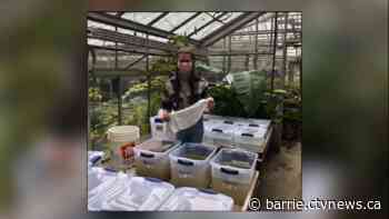 Alliston student attending national STEM event in May - CTV News Barrie