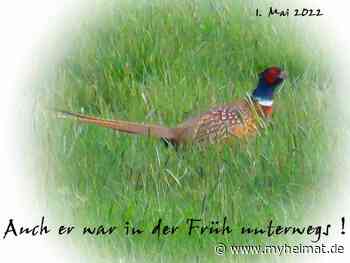 Der 1. Mai 2022 in der Früh ! - Lutherstadt Wittenberg - myheimat.de