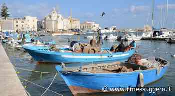 Trani, Bitonto, Molfetta e Bisceglie, da vedere e da mangiare: un tour lungo la costa nord di Bari - ilmessaggero.it