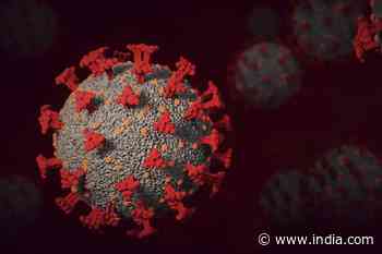 Omicron Latest Subvariant BA.2.12.1 Proves Coronavirus Not Declining. Here's What Report Says - India.com