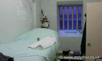 Justice chiefs spend £2million a year to nearly double the number of back office executives - Daily Mail