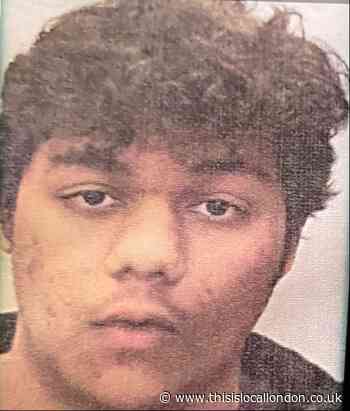Police searching for missing Ilford teenager Zoraise Mohammad