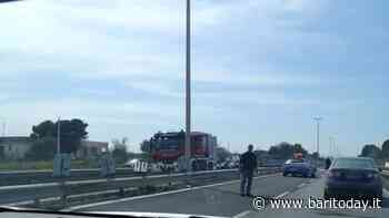 Auto si ribalta sulla Statale 16 tra Bari e Mola: traffico in tilt e rallentamenti verso sud - BariToday