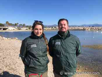 Villeneuve-Loubet se dote de deux gardes nature pour la protection des animaux et de l'environnement
