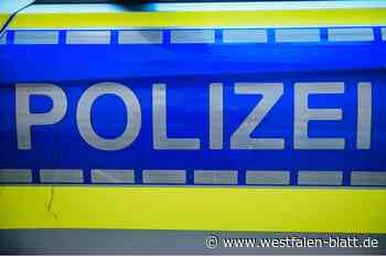 Stemwede/Bohmte: Tote Katze hängt an der Kanalbrücke - Westfalen-Blatt