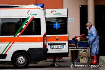 Pensa di raccogliere un’erba aromatica per l’insalata ma rimane intossicata: grave una donna - Fanpage.it