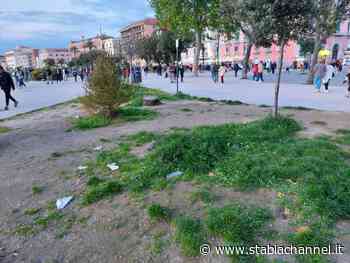 Castellammare - Villa comunale, aiuole nel degrado tra aridità ed erba incolta - StabiaChannel.it