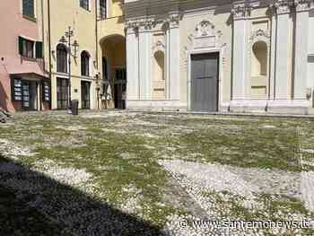 Sanremo: piazza Cassini si sta trasformando in un prato, l’erba cresce incontrollata dalla pavimentazione (Foto) - SanremoNews.it