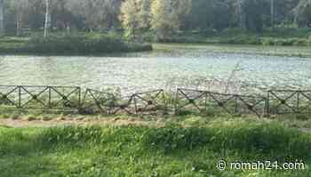 Reti arancioni, erba alta e recinzioni crollate: allarme abbandono a Villa Ada. La gallery - Trieste-Salario - romah24.com