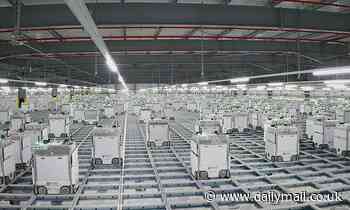 Ocado is using an army of 2,000 robots in its south-east London fulfilment centre