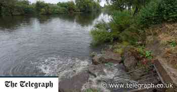 Friends of England's filthy rivers are left praying for a miracle - The Telegraph