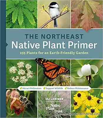 Maine Gardener: A new book helps gardeners choose plants to benefit wildlife and, by extension, us - Kennebec Journal and Morning Sentinel